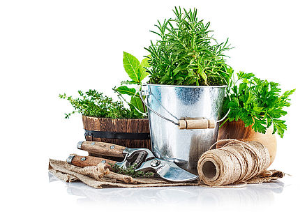 Werkzeug für die Gartenarbeit